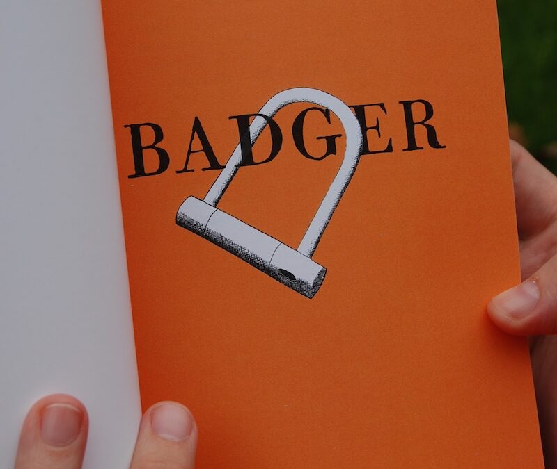 Badger interior illustration