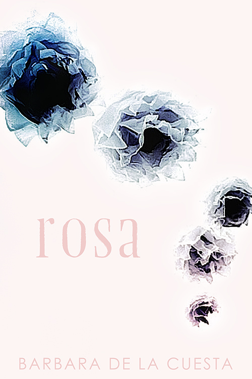 Rosa by Barbara de la Cuesta