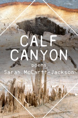 Calf Canyon by Sarah McCartt-Jackson