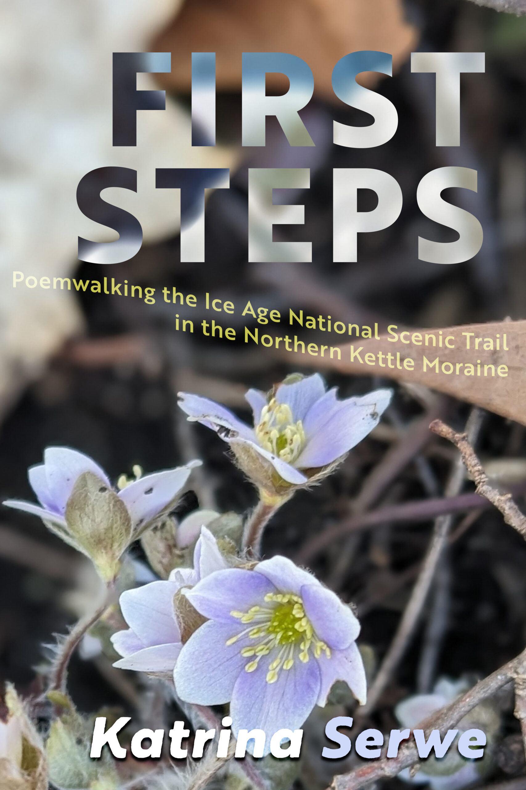 First Steps by Katrina Serwe