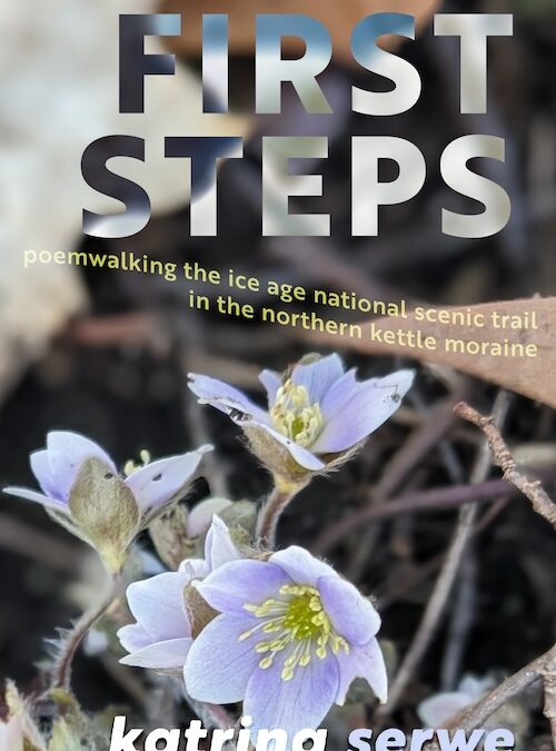 First Steps